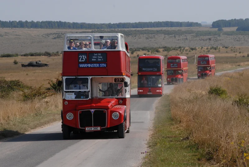 Imberbus 2025